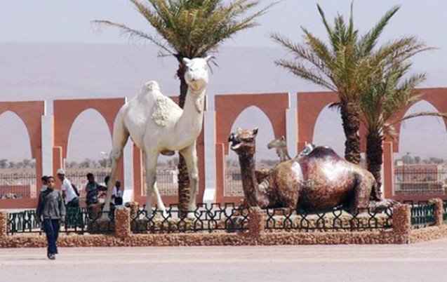 أسا : قافلة فلاحية لتنمية قطاع الإبل من تنظيم مؤسسة فوسبوكراع