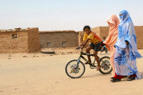 صفعة جديدة للبوليساريو..،الإتـحاد الأوربي يُطالب رسميا بإحصـاء ساكنة تندوف..التفاااااصيييل