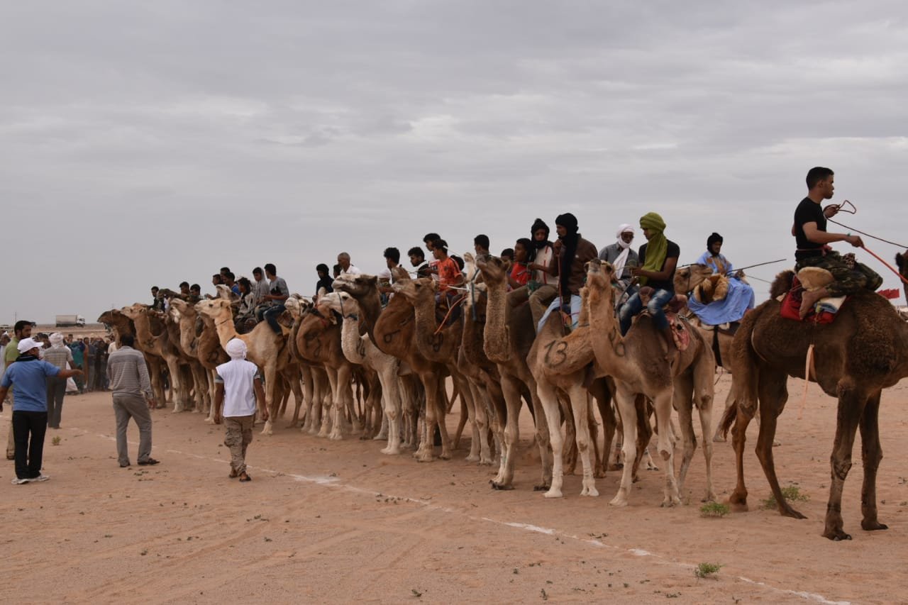 السمارة .. إسدال الستار  على فعاليات  مهرجان الساقية الحمراء لسباق الهجن