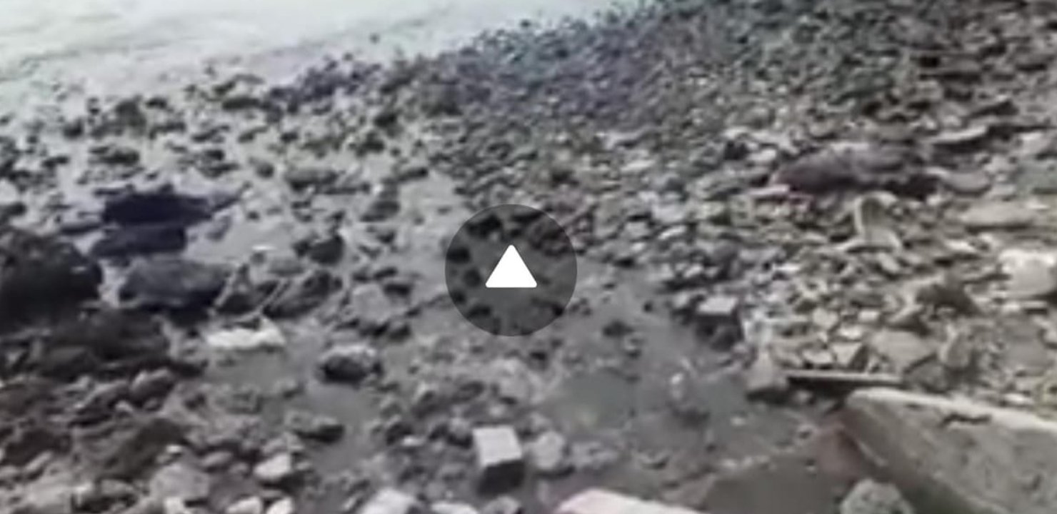 واش بلدية الداخلة مافراسهاش الكارثة البيئية لي واقعة.. واد الحار كيصب فخليج وادي الذهب (فيديو)