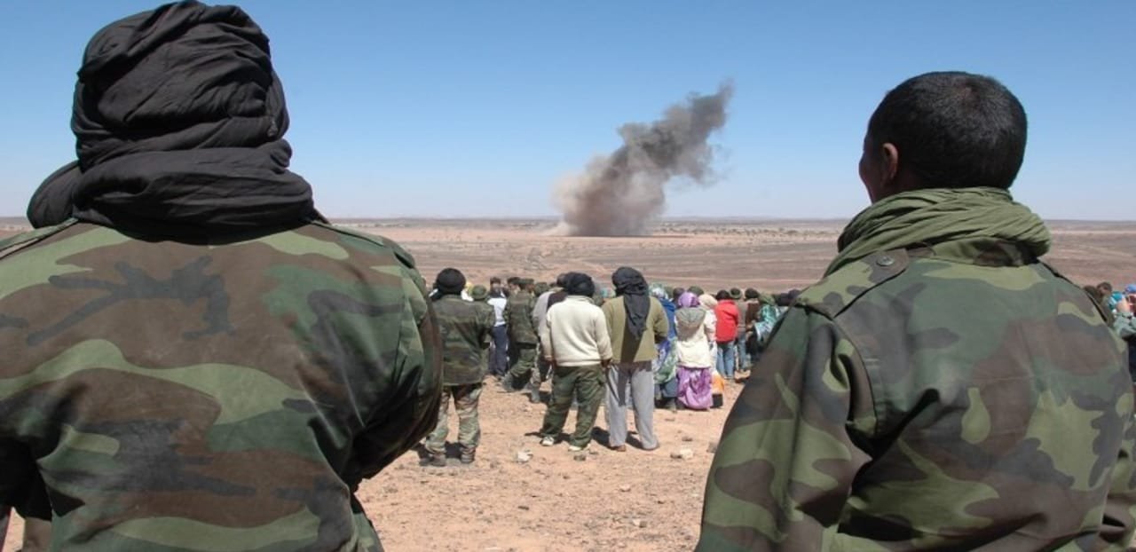 قيادي في جبهة البوليساريو يتهم المغرب بزعزعة تندوف و يصف الصحراويين المحتجين بـ”الكلاب”
