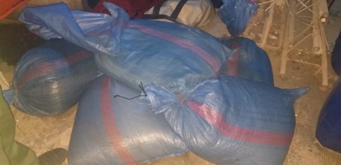 ميناء/العيون..حجز 319 كيلوغرام من خيار البحر المحظور صيده،التفاااصييل