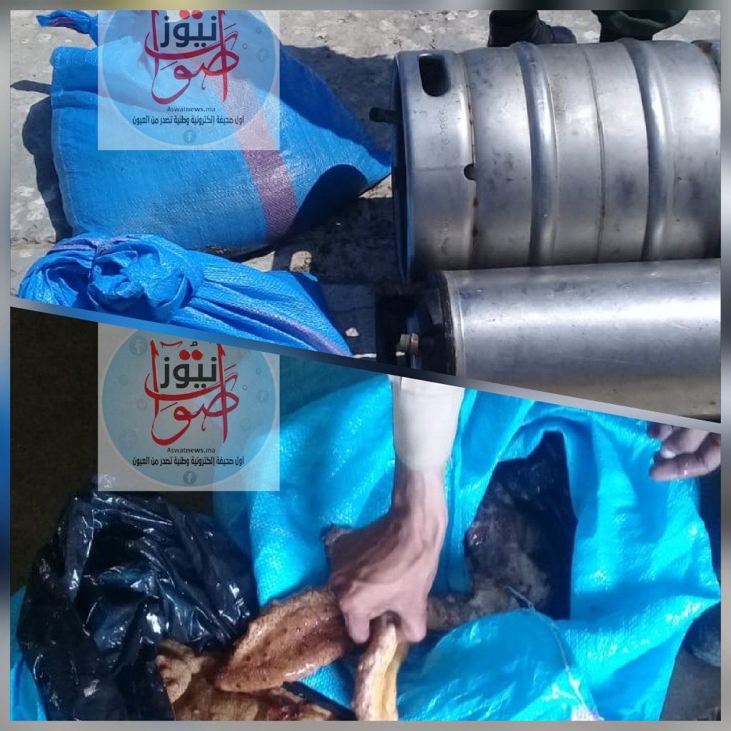 العيون..توقيف قارب محمل بخيار البحر الممنوع صيده …
