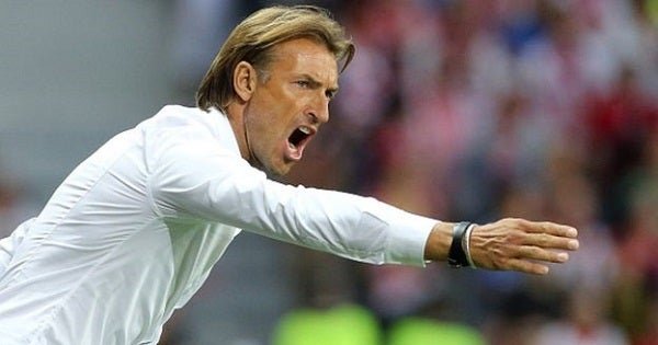 الجامعة تنفي خبر آستقالة هيرفي رونار من قيادة المنتخب الوطني
