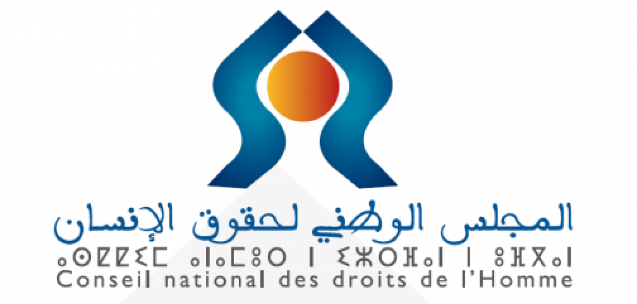 عااااجل… الملك يعين أعضاء جدد  للمجلس الوطني لحقوق الإنسان ، و هذه أسماؤهم، التفاااصييل