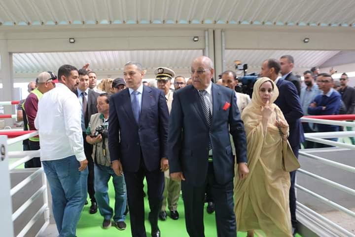 والي جهة العيون الساقية الحمراء يشرف على تدشين مجموعة من المشاريع التنموية بالجهة ،التفاااصييل