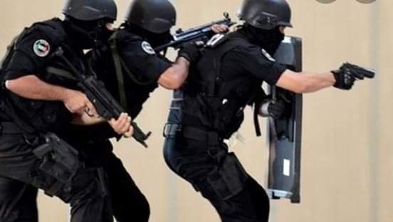 فرقة أمنية خاصة لمكافحة الجريمة تصل العيون