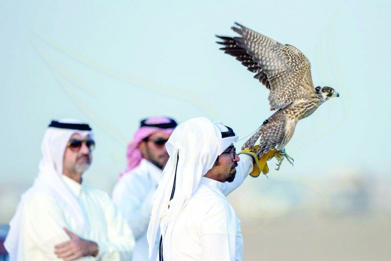 شقيق أمير قطر يصل العيون لممارسة هواية القنص بمحمية خاصة ببوجدور