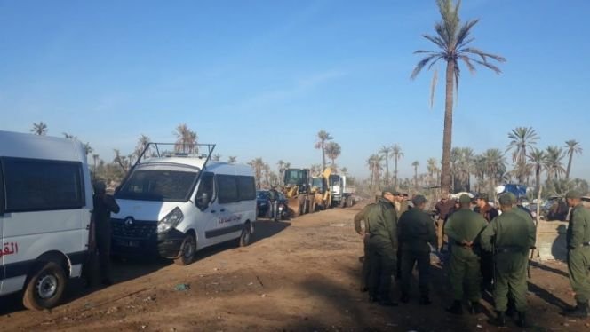 مراكش ..السلطة المحلية تضبط عصابة متلبسة بسرقة النخيل