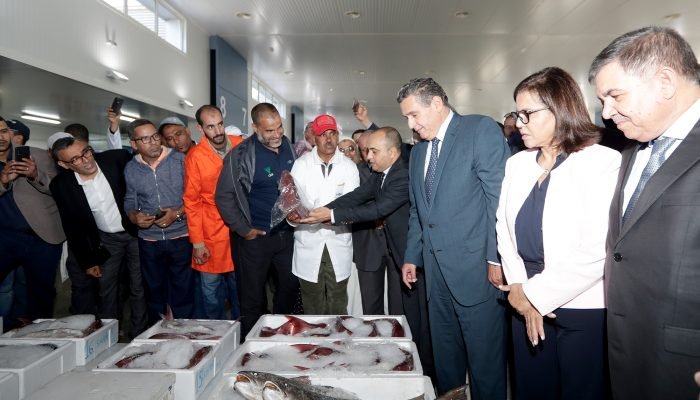 أخنوش يشرف على افتتاح أكبر سوق لبيع السمك بالجملة بتطوان