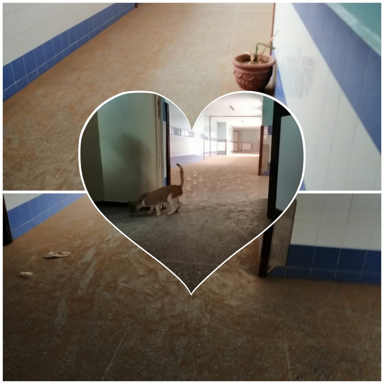 هادشي تايفرح.. مل قوة نقا ديال المستشفى الجهوي بالمهدي العيون، ناس حشمات دخل بالصباط، قراو أو تفهموا!! .