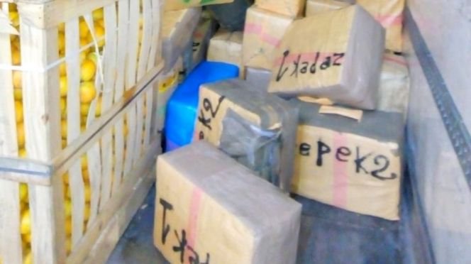 الكركرات. إجهاض محاولة تهريب سبعة أطنان من مخدر الشيرا