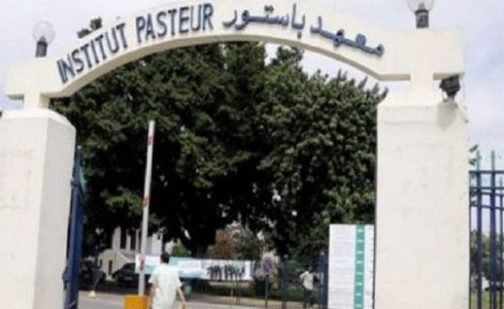 تسجيل بشأن المعاشرة الجنسية تقوي المناعة و تبعد كورونا، معهد باستور يوضح، البلاغ