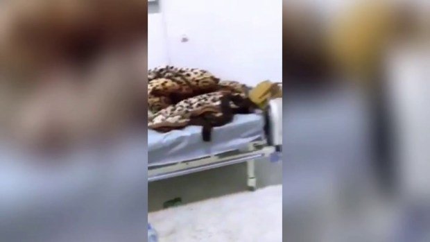 وزارة الصحة ترد على رواية “الإهمال في غرف الحجر الصحي” بسطات