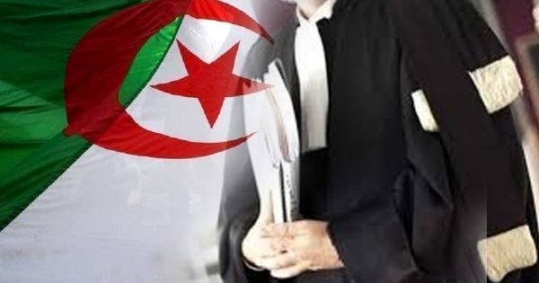 خلال أزمة كورونا.. محاميو الجزائر يستنكرون حملات التضييق النشطاء والمجتمع المدني.