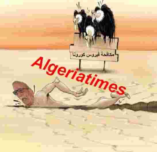 قرار مجلس الأمن حول الصحراء يصيب الجزائر بسكة دماغية بعد سكتة كرونا الإقتصادية