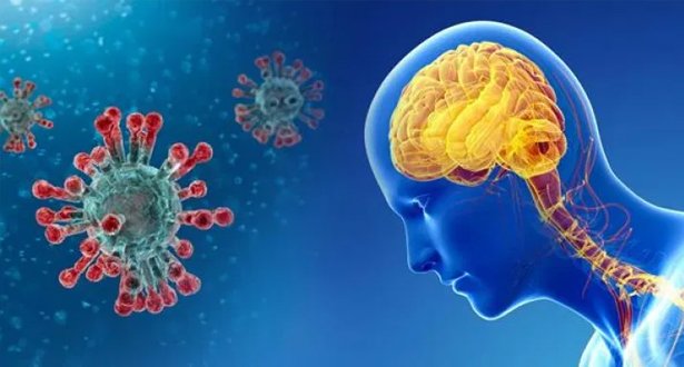 هل يهاجم فيروس كورونا الدماغ والأعصاب؟