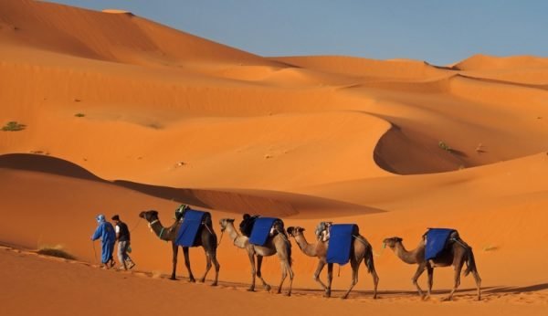 تأسيس حركة “صحراويون من أجل السلام”للبحث عن حل متوافق عليه حول الصحراء المغربية