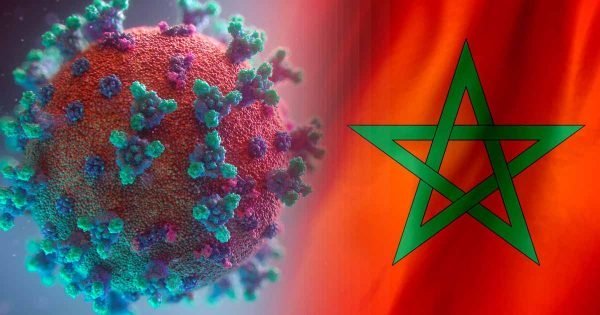 فيروس كورونا: تسجيل 295 حالة شفاء جديدة بالمغرب