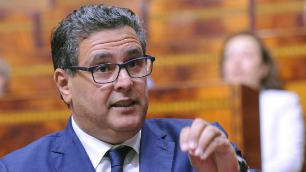 أخنوش.. الفلاحة ستفقد 20 مليار درهم من قيمتها إذا اعتمدنا كليا على زراعة الحبوب
