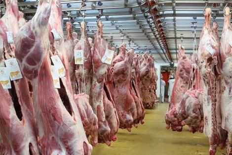 عيد الأضحى..جماعة وجدة تضع المجازر الجماعية رهن إشارة الساكنة
