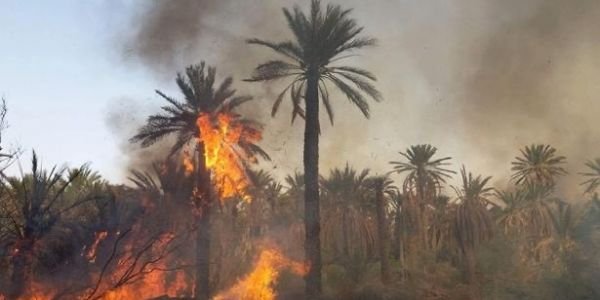 حريق مهول يأتي على واحة نخيل بـ ”أيت الخنوس”