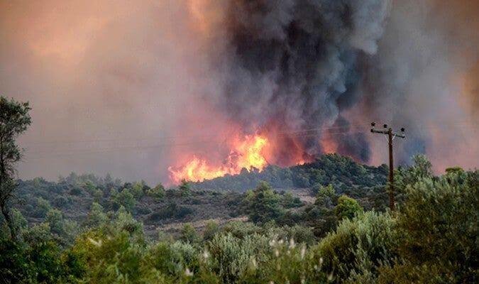 نشوب حريق مهول في غابة بنواحي تازة ..