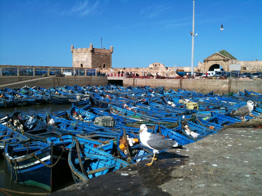 الصويرة.. السلطات تقررإغلاق الميناء بعد ظهور حالات مصابة بكورونا