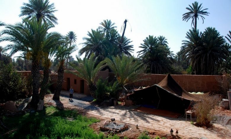 إحياء واحة تيغمرت بعد الخسائر الناجمة عن الحريق