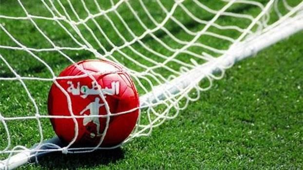 البطولة الوطنية الاحترافية ”الدورة الـ29” .. نتائج وبرنامج باقي المباريات
