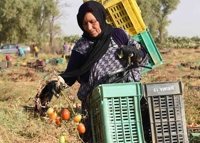 المرأة القروية .. يوم عالمي للتنبيه إلى تداعيات كوفيد-19 على هذه الفئة