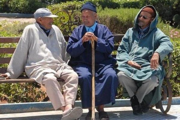 مشروع قانون المالية يسجل 55.488 إحالة على التقاعد ..