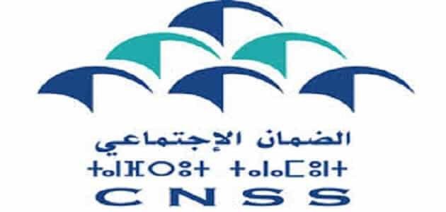 الصندوق الوطني للضمان الاجتماعي يشرع في صرف تعويضات لمهنيي قطاع السياحة