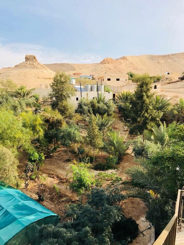 ملفات اقتصادية كبرى من بينها خطة ” تخضير الصحراء” تنتظر استئناف العلاقات المغربية الإسرائيلية