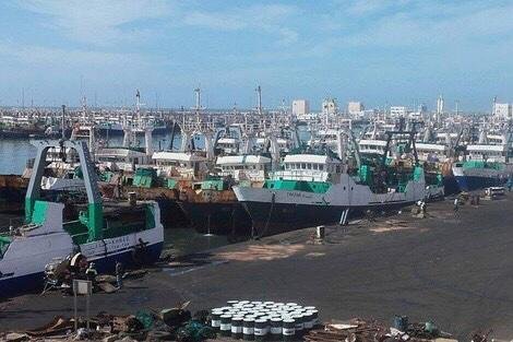 مشاريع روسية كبرى بالصحراء المغربية… تفاصيل