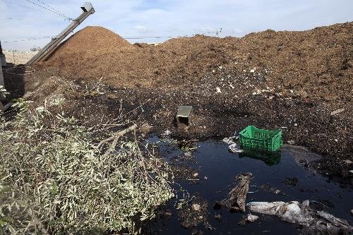إقليم الحسيمة: معاصر الزيتون تهدد البيئة والفرشة المائية وسط مطالب بالتدخل العاجل