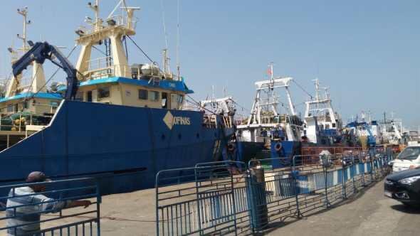 الجمعية المغربية لمجهزي السفن تواصل مرافعتها لإنقاذ قطاع الملاحة التجارية