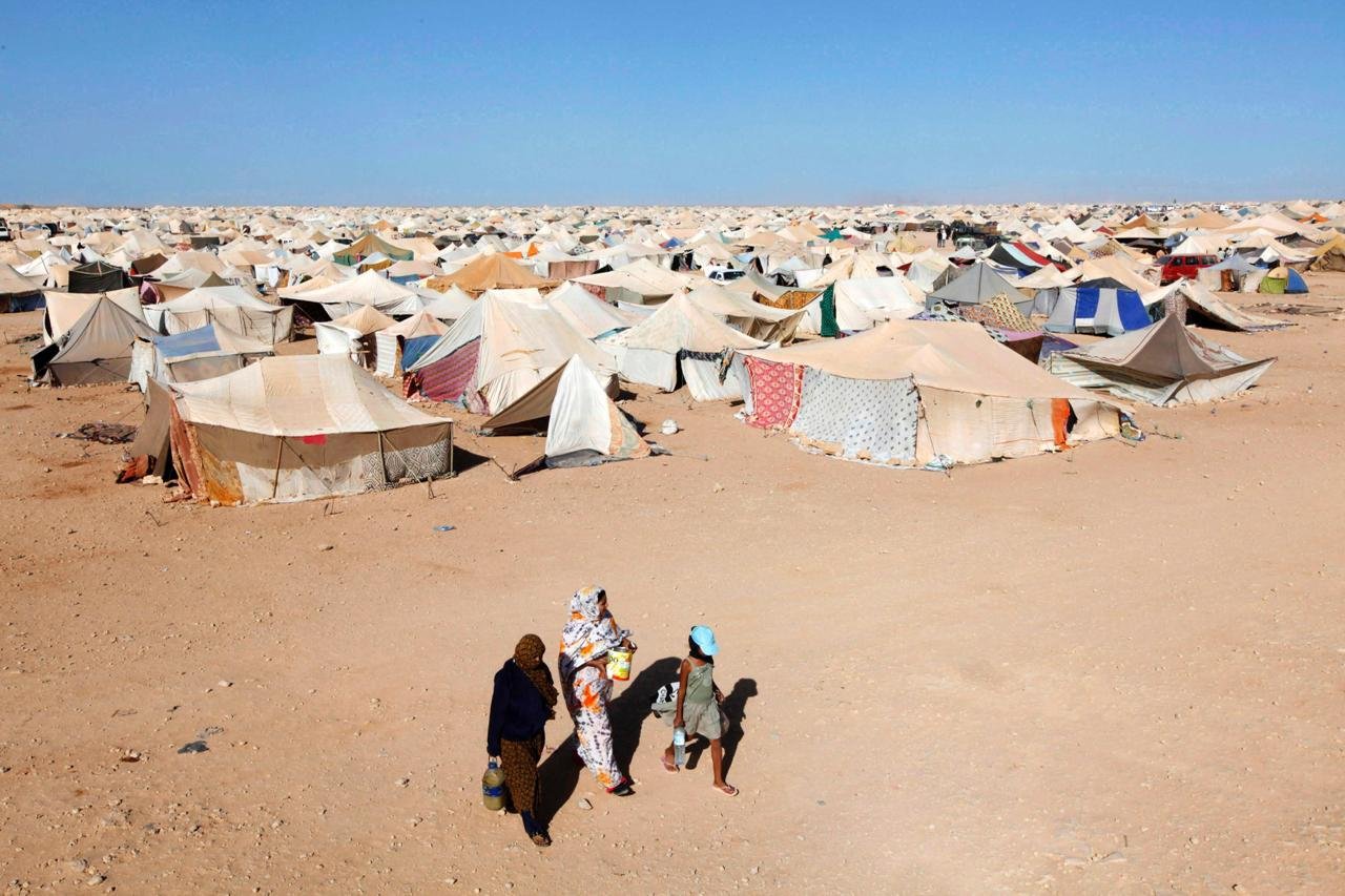 الغباء الجماعي لا حدود له !