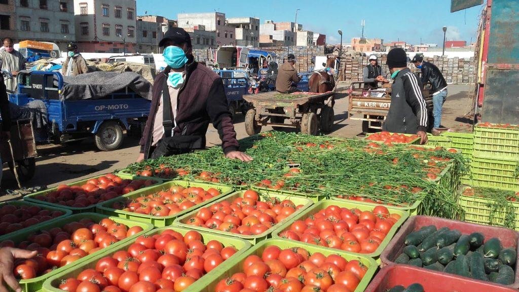 قانون يلغي إلزامية مرور الفلاحين بأسواق الجملة