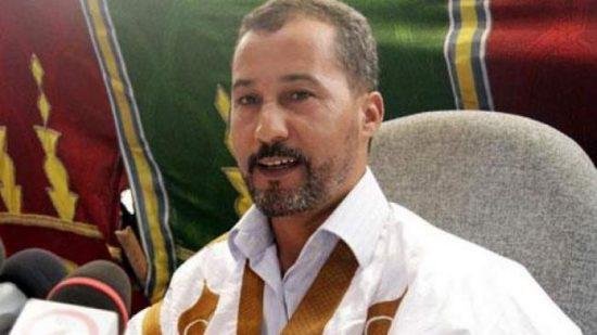 مصطفى سلمى : الحكم الذاتي عقد صلح ، وليس استقلال مغلف .