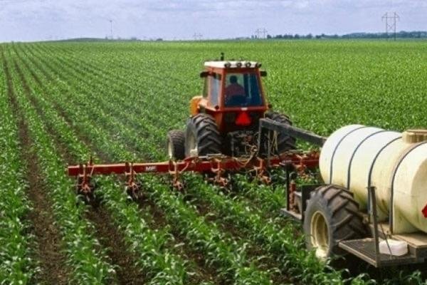 موسم فلاحي واعد بفضل التساقطات المطرية الأخيرة