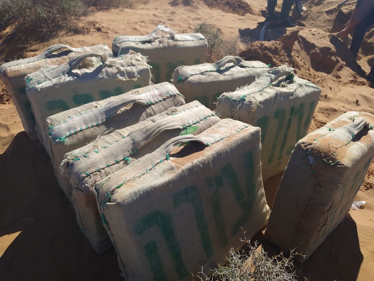 كلميم.. إحباط عملية للتهريب الدولي للمخدرات وحجز 342 كيلوغراما من مخدر الشيرا