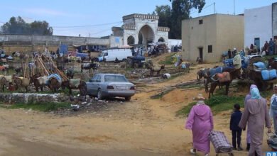 إقليم شفشاون… عناصر الدرك تداهم حفل زفاف سري وتوقف صاحب المنتزه .