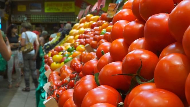 ألمانيا تقرر رفع وارداتها من الطماطم المغربية
