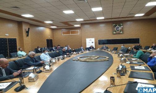 وكلاء أسفار ومهنيون يبحثون سبل الترويج لوجهة الداخلة