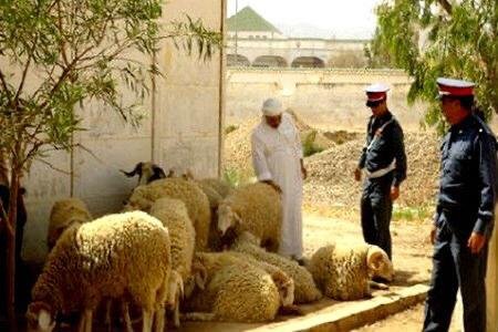 درك ”أولاد عبو سرية برشيد” يطيح بأفراد عصابة ”الفراقشية”.