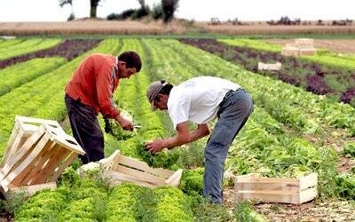 أحزاب تطالب بالدعم المادي للفلاحين.
