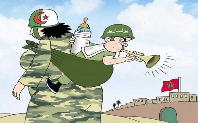 البوليساريو في معركة وهمية ..التفاصيل