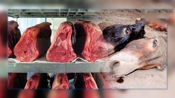توقيف جزار  مشهور  ينتج أكلة ”الخليع” بلحوم الحمير والبغال.. التفاصيل