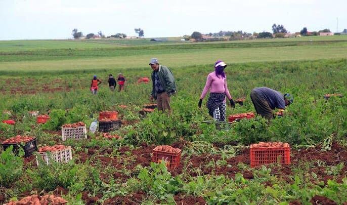 فيضانات تقطع الطرق وتغمر الأراضي الفلاحية بجهة مراكش